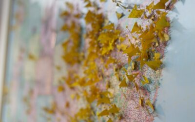 How to Win at Local SEO Across Multiple Locations Using Yoast
